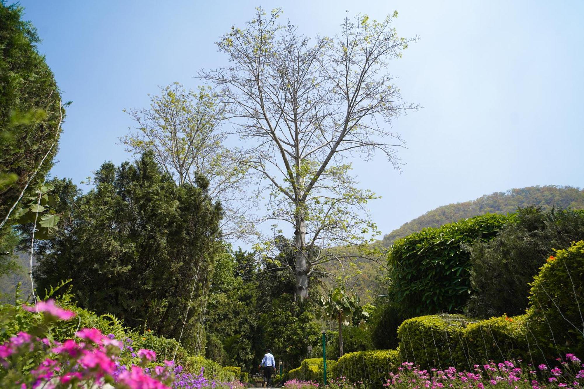 Garjia The Solluna Resort מראה חיצוני תמונה